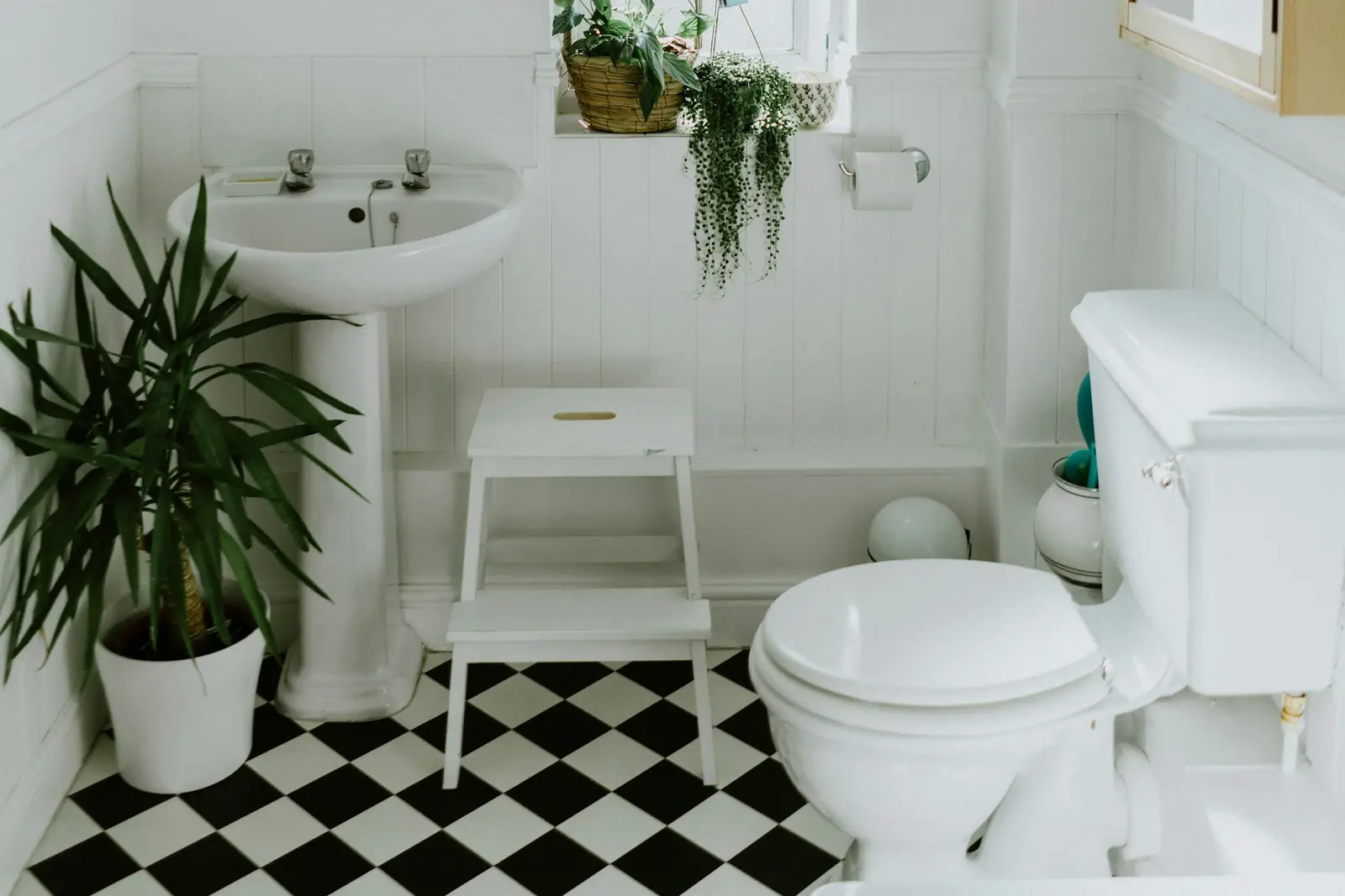 Traditional bathroom with a pedestal basin and close-coupled toilet