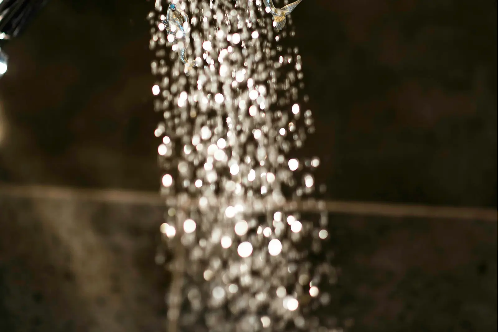 Close-up of water spraying from a shower head